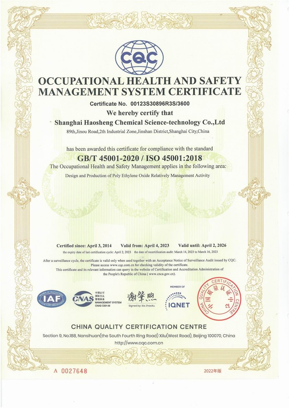 ISO Professional Certification